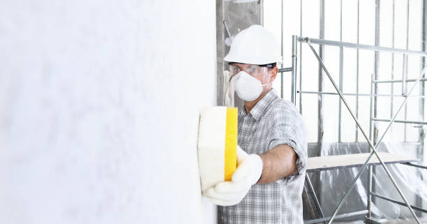 Lely Resort, FL Mold Removal Services Company